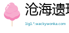 沧海遗珠网